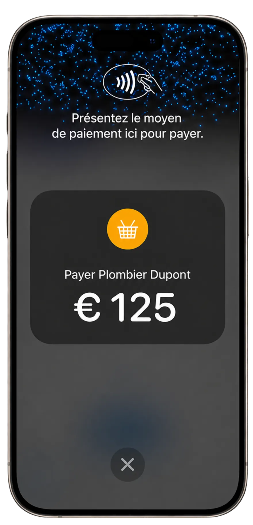 Écran de paiement sans contact Tap to Pay sur iPhone : le client présente sa carte